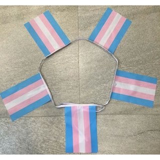 Flaggspel 20 TransPrideflaggor, 15x23 cm