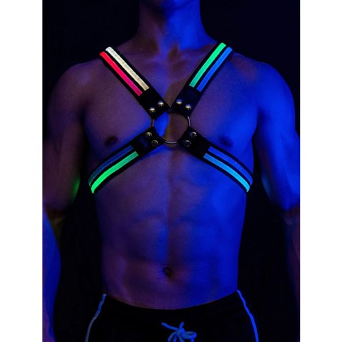 Harness, LED, multicolour