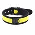 Puppy play collar