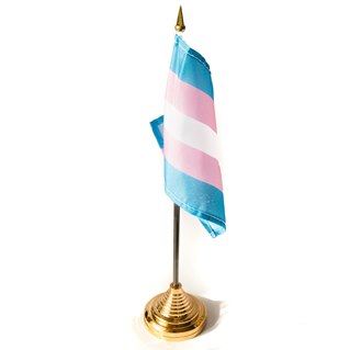 Transgender Pride on stick
