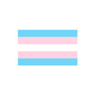 Transgender Pride Flagga 90 x 150