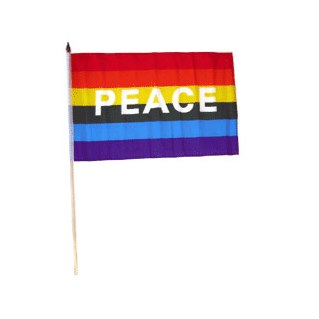 6 Regnbågsflaggor med PEACE