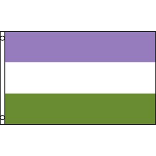 Gender Queer Flag 90 x 150