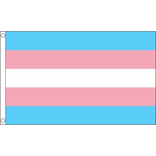 TransPride-lippu, 150 x 240
