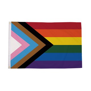 Stor Progress Pride Flag 150 x 240