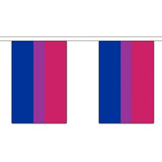 BiPride buntings - 10 flags