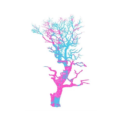 Poster - Tree Trans