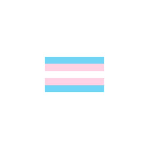 Transgender Pride Flagga 90 x 150