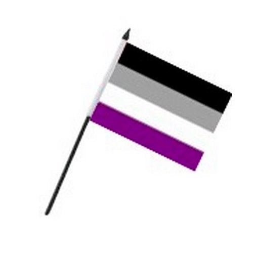 Liten Asexual Flag på pinne