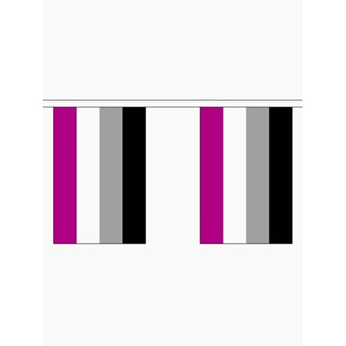BUNTING - 10 SMALL ASEXUAL FLAGS