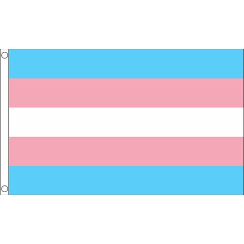 TransPride-lippu, 150 x 240