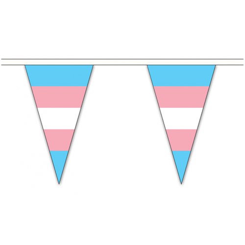 Flaggspel 54 trianglar Trans-Pride