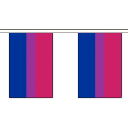 Bunting - 30 small Bi Pride flags