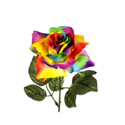 Ruusu sateenkaaren väreissä