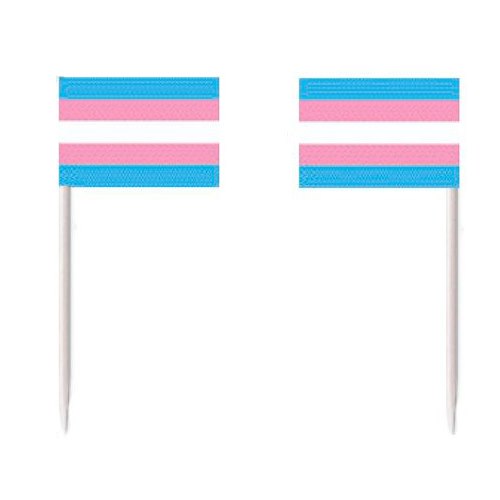 Hammastikkuja TransPride-lipulla