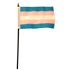 Pieni transgender-lippu