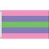 Trigender Pride Flag 90 x150