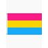 Pansexual Flag 60 x 90