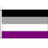 Asexual-lippu, 150 x 240