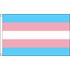 TransPride - Stor flagga 150x240