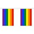 Rainbow Giant Bunting - 30 flags