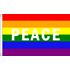 Regnbågsflagga med PEACE 60 x 90