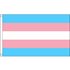 Transgender Pride flag 60 x 90, print