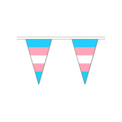 Flaggspel Trianglar, TransPride 12 flaggor