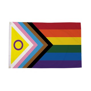 Inclusive Progress Rainbow Flag 150 x 240