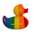 Rainbow rubber duck