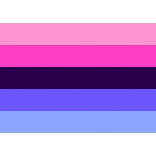 Omnisexual Pride Flag, 90 x 150
