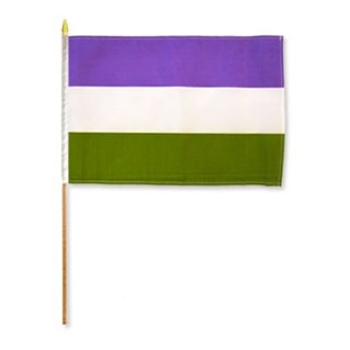 Gender Queer 30x45 cm Stick Flag